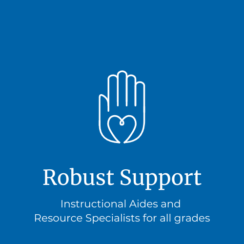 Robust student support for all learners